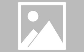 五指山粉丝查询小程序怎么制作（粉丝查询助手）